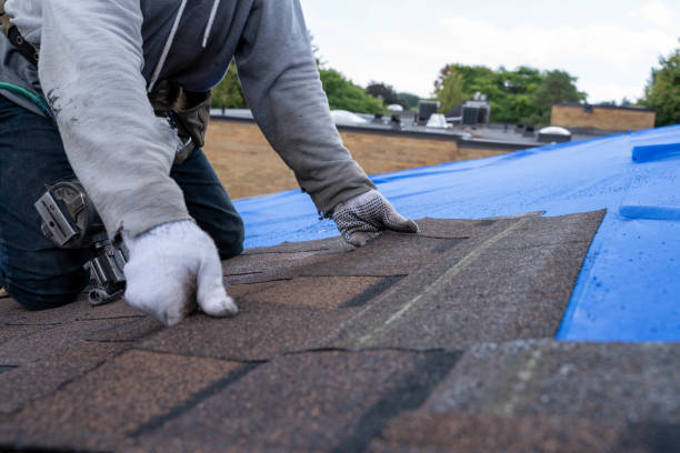 Best Local Roofing Companies  in Stony Point, MI