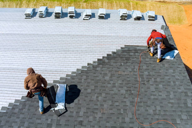 Best Roof Gutter Cleaning  in Stony Point, MI