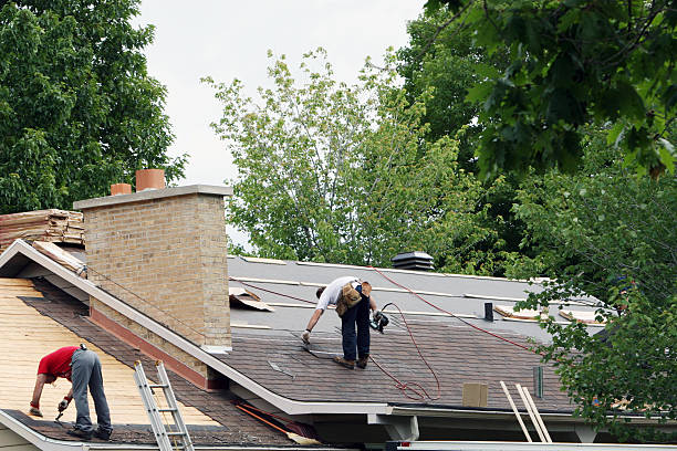 Best Roof Maintenance Services  in Stony Point, MI