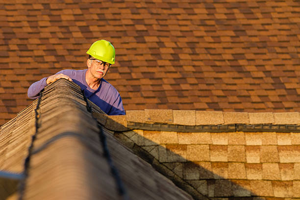 Best Best Roofing Contractors  in Stony Point, MI