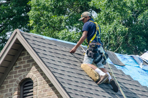 Best Local Roofing Companies  in Stony Point, MI